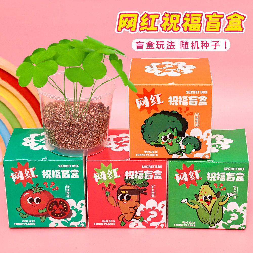 网红盲盒盆栽祝福盲盒植物盆栽种子手工diy桌面绿植摆件儿童礼物