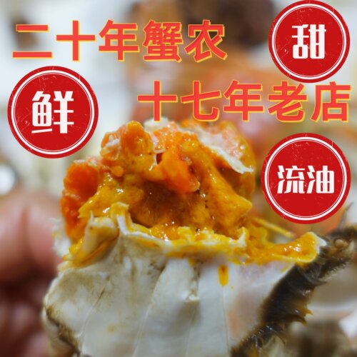 3两母4两公净重太湖蟹苏州大闸蟹