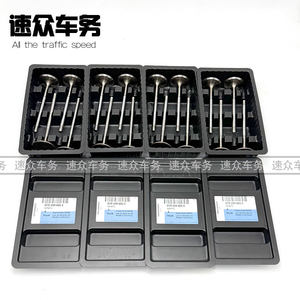 奥迪R84.25.2进排气门