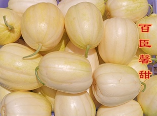 百臣馨甜香瓜种子含糖量高秧状抗病强甜脆不倒瓤耐运输 薄皮甜脆