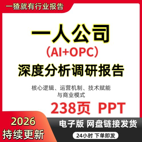 238页PPT一人公司（AI+OPC）深度分析调研报告 送合集