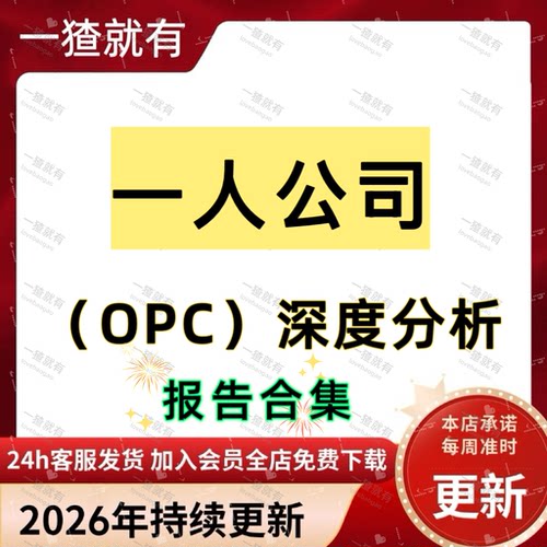 AI时代 一人公司OPC深度分析报告合集 一人公司创业发展趋势