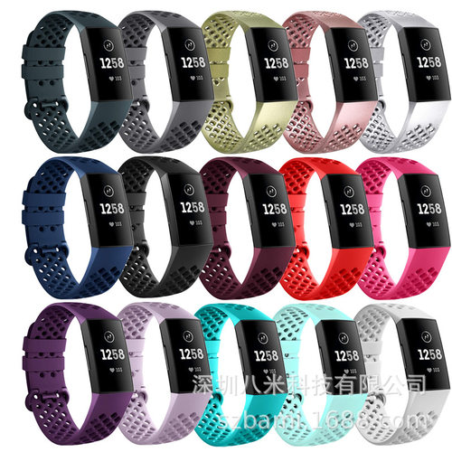 Fitbit Charge4 Fitbit Charge3 Smart Hollow Model