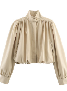 Women's 2026 Style Pleated Texture Stand llar Lantern Sleeve