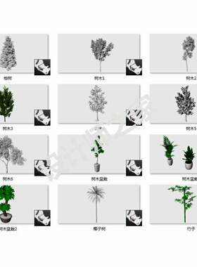 12款树木绿色植物大树干竹模型犀牛rhino/C4D/3Dmax/maya设计素材