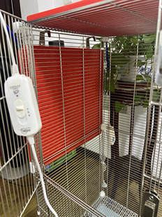 40尺寸 蜜袋鼯松鼠鹦鹉宠物加热器九档调节加热片防烫伤加热板40