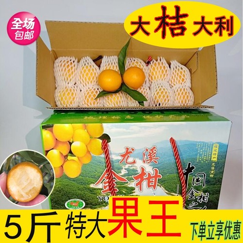 皮薄多汁福建尤溪桔子新鲜采摘