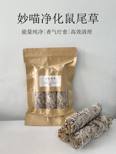 高纯加州白鼠尾草净化空气漾生活