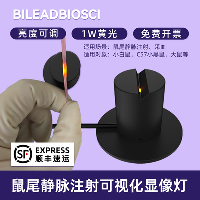 鼠尾注射采血灯具BILEADBIOSCI