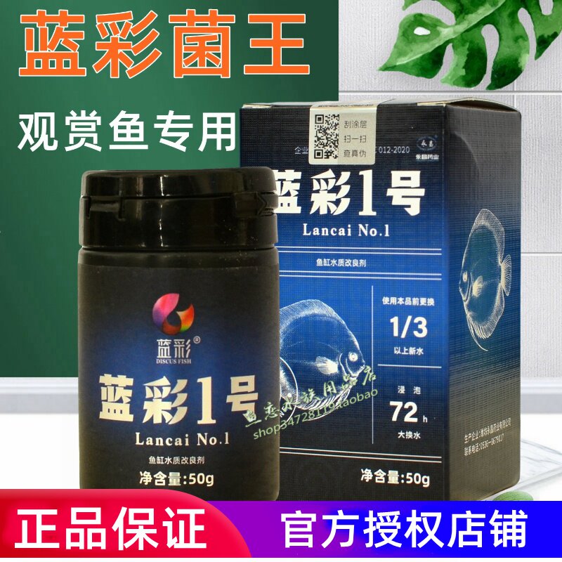 蓝彩菌王七彩神仙交叉感染水霉白毛发黑菌王1号扎堆内寄外寄