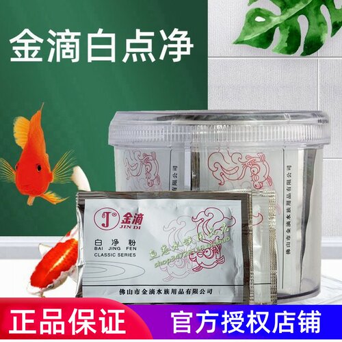 金滴观赏鱼白点净烂肉病立鳞病