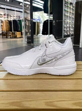 Nike耐克ZOOM LEBRON NXXT GEN AMPD EP男子实战篮球鞋FJ1567-102