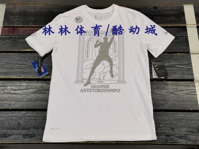 Nike/耐克短袖字母哥男子篮球