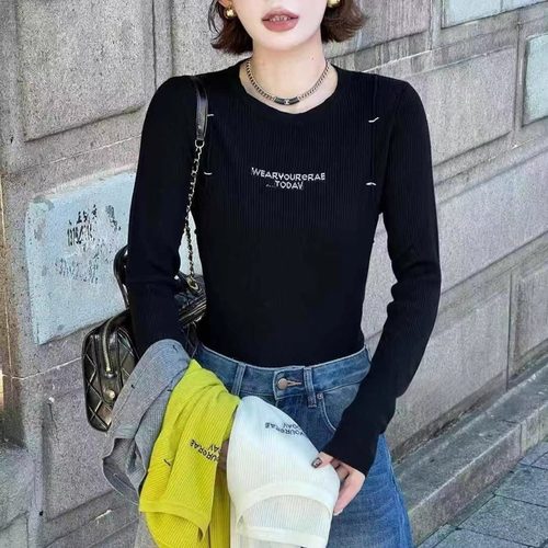 欧洲站2025秋冬新款欧货女潮时尚休闲字母印花圆领打底羊毛针织衫