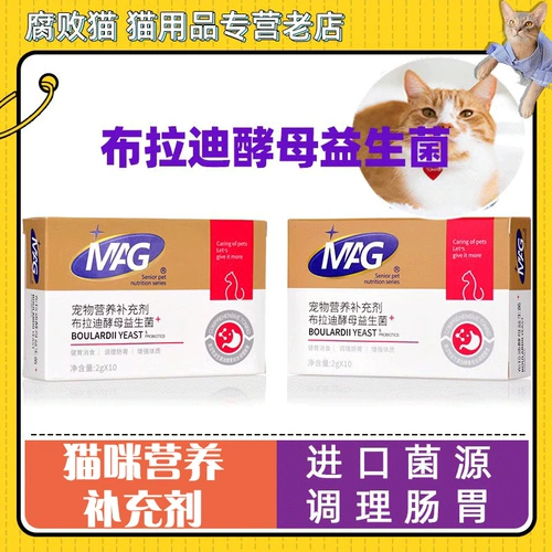 Правильный пробиотик Cat Mag Cat, содержащий дрожжевых кошек Bradil