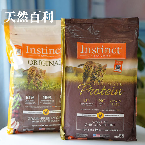 腐败猫幼猫腐败猫Instinct