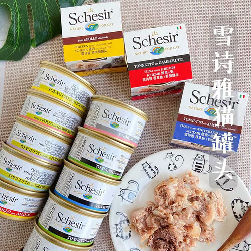 schesir意大利彩虹啫喱腐败猫