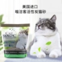 Mèo tham nhũng CatMagic 喵 膨 enton bentonite khử mùi than hoạt tính mèo không có bụi cát kết tụ 14 pounds - Cat / Dog Beauty & Cleaning Supplies bàn chải lông pet