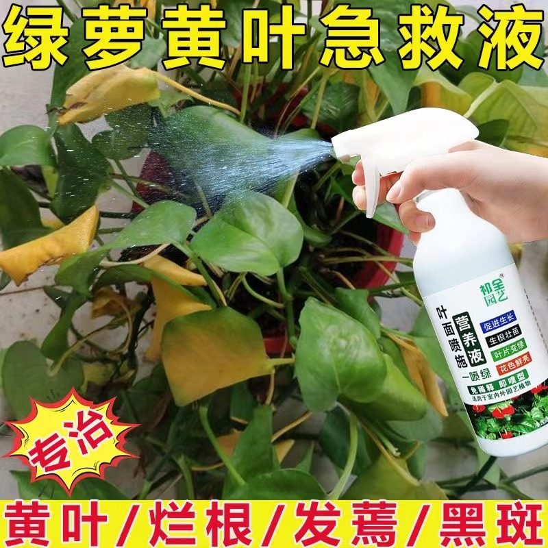 拍一发四叶绿素营养液植物叶面肥果树蔬菜黄叶片一喷变绿免稀释,鲜花速递/花卉仿真/绿植园艺,家庭园艺肥料,淘宝优惠券,粉丝福利购,淘宝优惠卷