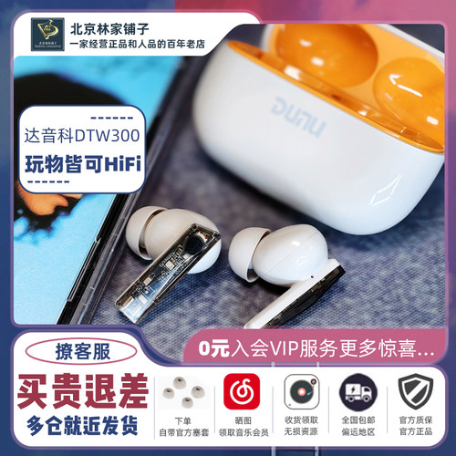 DUNU达音科DTW300入耳式真无线蓝牙耳机降噪2025新款运动耳机