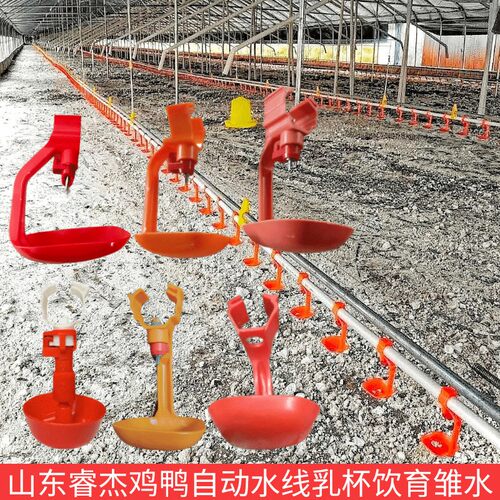 养殖设备乳头饮水器