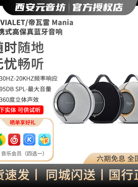 Devialet Mania法国帝瓦雷狂潮户外音箱便携式无线高保真蓝牙音响
