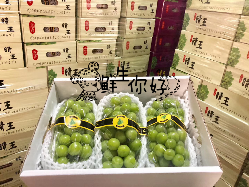4斤 3串/箱 晴王葡萄 新鲜云南水果日本青提无籽阳光玫瑰国产香印|msdalam kategori daging perikanan/Buah-buahan segar dan sayur-sayuran/dimasak, buah-buahan segar, Grape/Raisin - dari Buy2taobao.com untuk memberikan perkhidmatan ejen Taobao profesional membeli