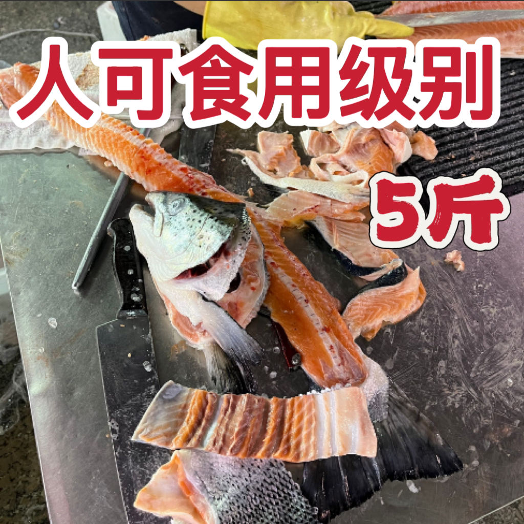 5斤 新鲜三文鱼鱼腩 人吃三文鱼碎肉边角料三文鱼头鱼骨喂猫喂狗