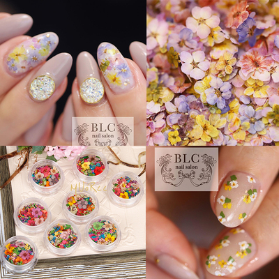 混装天然干花彩色美甲blc同款
