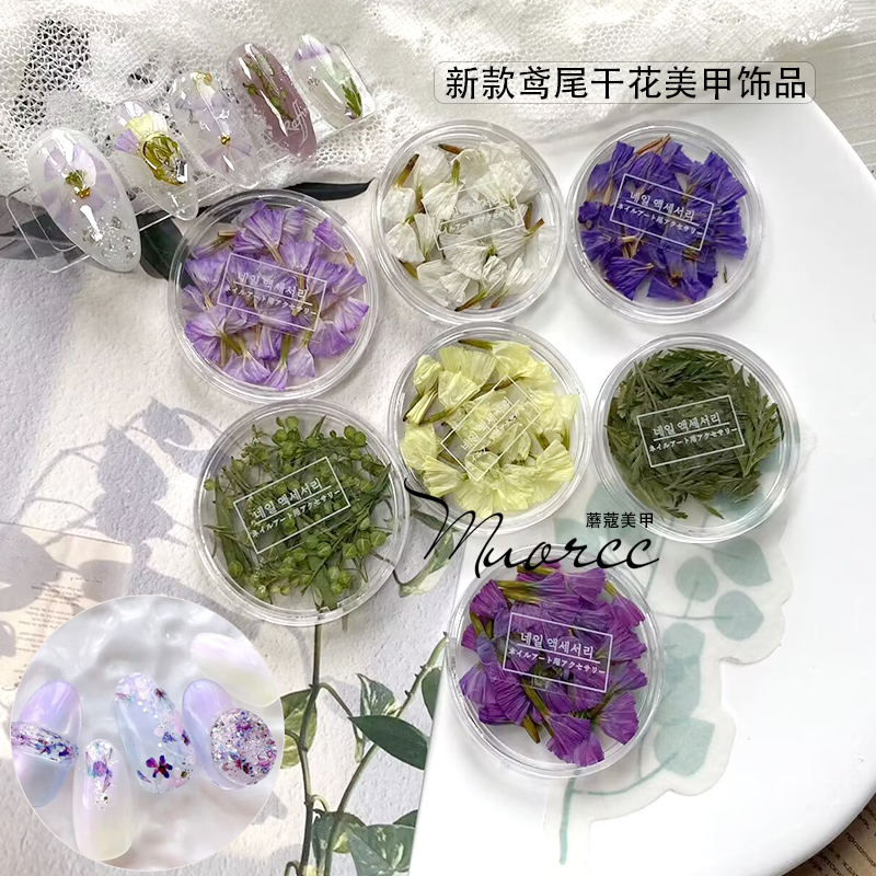 smint同款小众新款鸢尾美甲干花