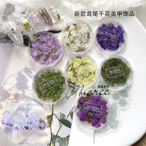 smint同款小众新款鸢尾美甲干花
