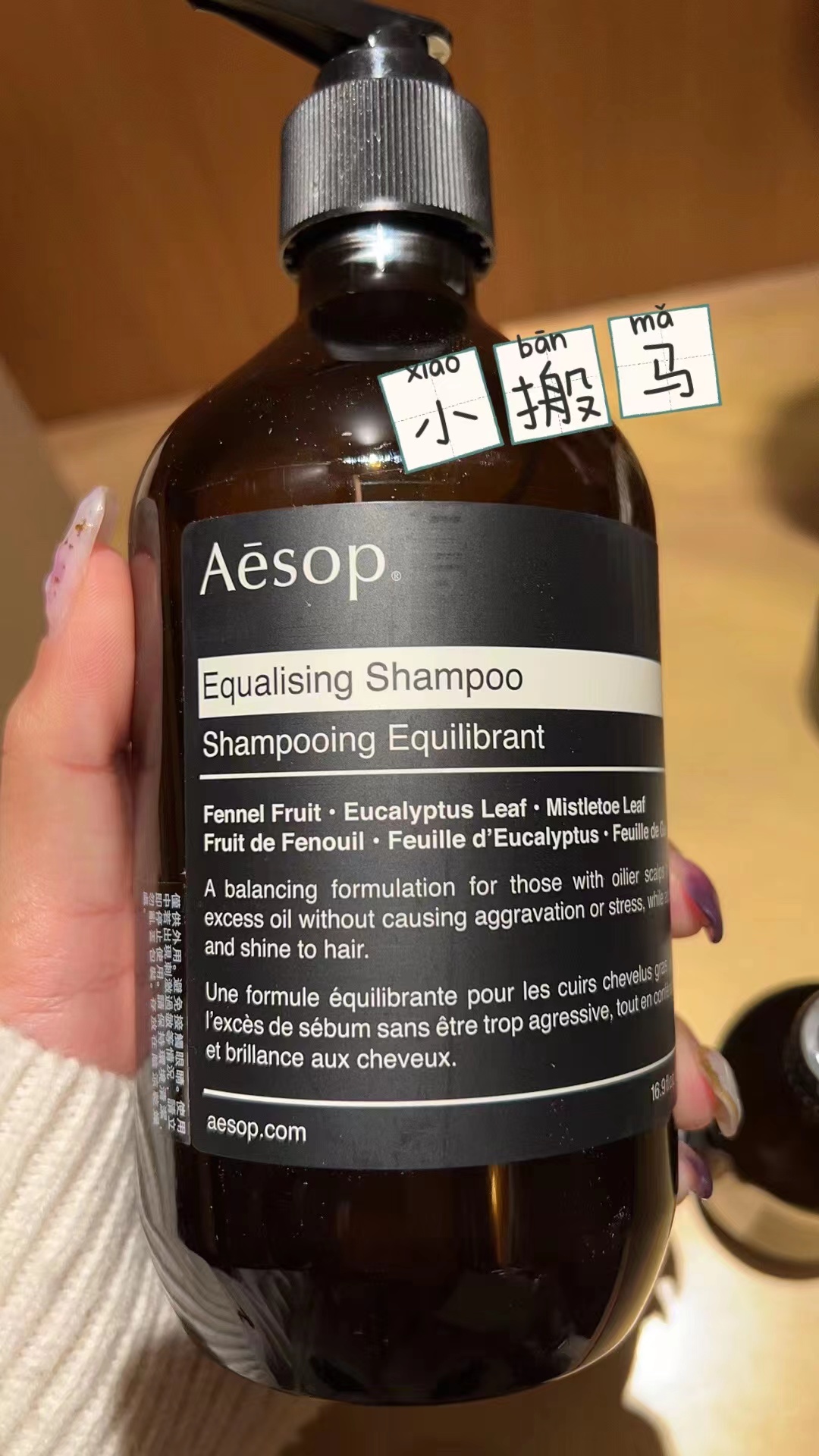 aesop 伊索 均衡洗发露 500ml 控油低泡洗发水 蓬松