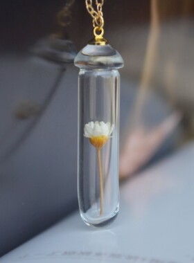 原创雏菊永生花玻璃瓶镀金项链