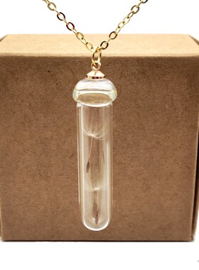原创蒲公英玻璃瓶镀金项链