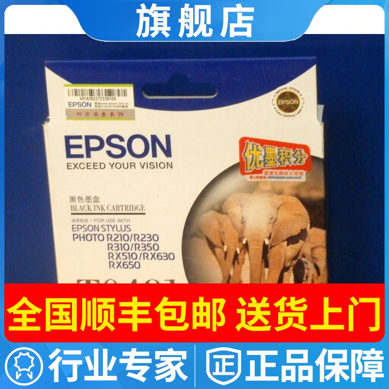 原装爱普生t0491墨盒R350RX510