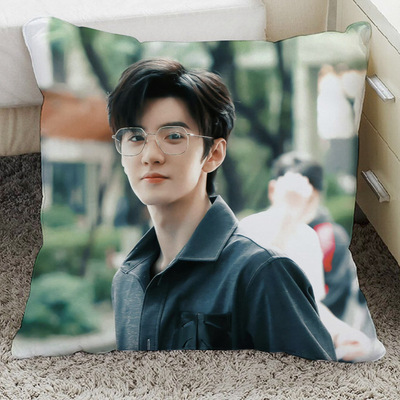 陈哲远偷偷藏不住段嘉许周边沙发抱枕女生睡觉专用靠枕含枕芯明星