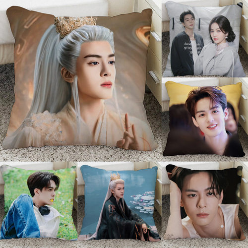 曾舜晞沙发抱枕女生睡觉专用图片双面制作临江仙白九思周边靠枕靠