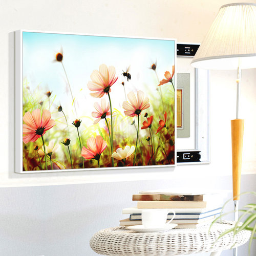 电表箱装饰画简约推拉花卉液压