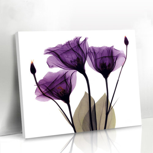 简约客厅餐厅花卉装饰画