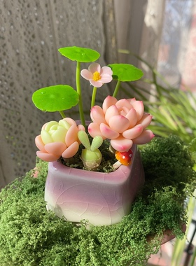 仿真花摆件树脂粘土多肉 手工多肉 永生花礼物 客厅装饰摆件