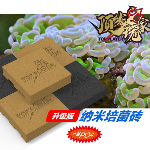 顶J玩家神砖海水缸培菌滤材海水珊瑚缸纳米培菌砖海缸平替MP神砖