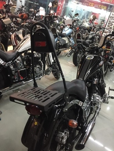 加高靠背 后货架 6C太子摩托车后货架 大地鹰王DD350