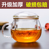 耐熱玻璃大號帶把過濾辦公室女士喝茶水杯子花茶水分離個性泡茶杯