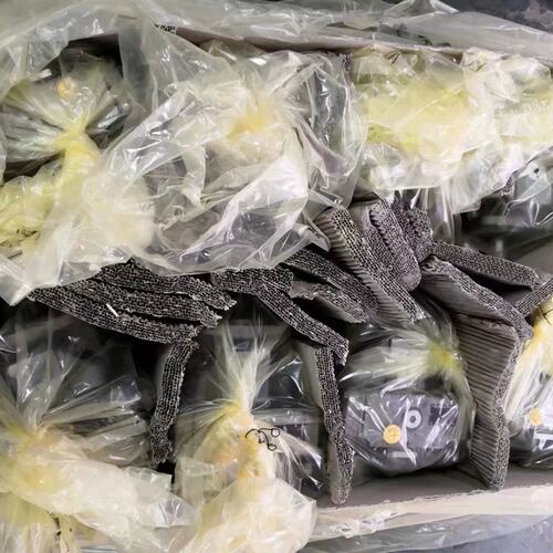 力士乐REXROTH 比例阀0811402055 DRE6X-1X/175MG24-8NZ4M议议价