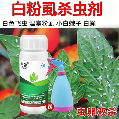 白飞虱白粉虱用药杀虫剂小飞虫辣椒黄瓜蔬菜白粉虱花卉蔬菜园艺药