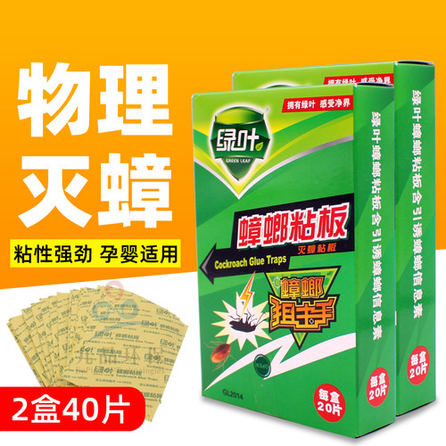 绿叶蟑螂贴粘板捕捉器