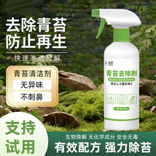 青苔清除剂地砖水泥地面墙面除清洁苔藓地板水桶鱼缸绿苔藓去除剂