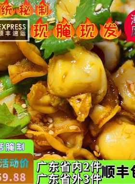 正宗潮汕生腌扇贝纯手工腌制扇贝肉正宗潮汕生腌现撬现腌现发扇贝
