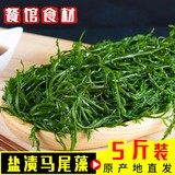 特价长寿菜鞭炮食材5斤包邮海藻