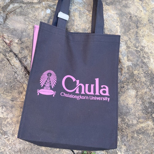 泰国朱拉chula大学文创手提包